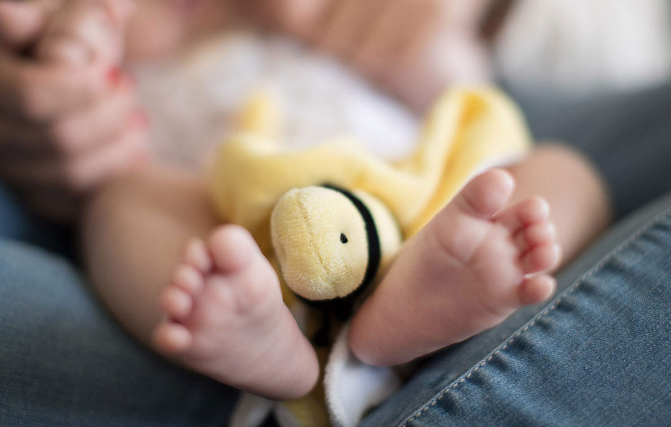 Burt's Bees Baby Baby Plush Toy Lovey, Hold Me Bee Stuffed Security Blanket, Infants Comfort Object, Made with Organic Velour Shell with Polyester, Sunshine Color, Size 12x12x3 Inches - Image 3