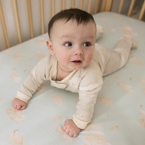 Burt's Bees Baby Boys Sleep and Play PJs, 100% Organic Cotton One-Piece Zip Front Romper Jumpsuit Pajamas - Image 5