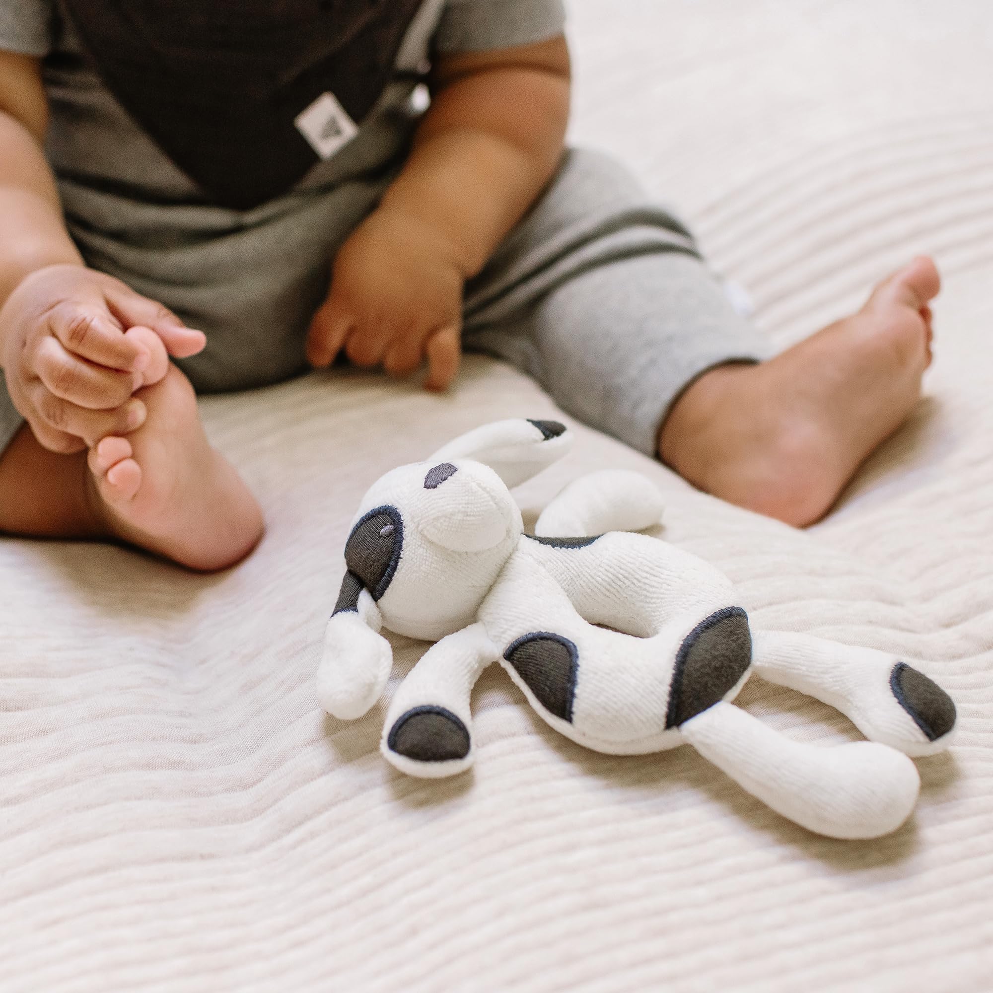 Burt's Bees Baby Unisex Infant Rattle Toy, Nursery Sensory Animal Plush Made with 100% Organic Cotton Shell and Polyester Fill, Sweet Bear, Bunny, or Dog Stuffed Animals for Babies - Image 3